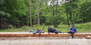 Beitragsbild des Blogbeitrags Top Ausflug 2017: Frischlinge und Frischluft im Naturpark Sparbach 