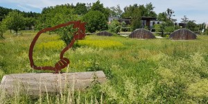 Beitragsbild des Blogbeitrags Top Ausflug: TIPPS für den Nationalpark Thayatal – Wildkatzenalarm! 