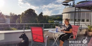 Beitragsbild des Blogbeitrags Klagenfurt ganz easy mit Hund: Das AllYouNeed Hotel