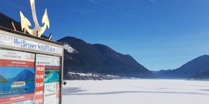 Beitragsbild des Blogbeitrags Winterwandern mit Hund auf dem Weissensee 