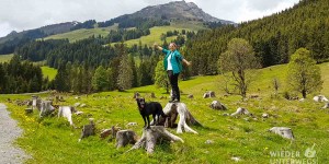 Beitragsbild des Blogbeitrags [7ways2Travel] Hinterglemm mit Hund: Basislager ADLER RESORT 