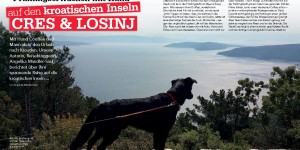 Beitragsbild des Blogbeitrags Coffee im aktuellen „DOGS TODAY“: Frühlingserwachen auf Cres und Losinj