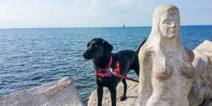 Beitragsbild des Blogbeitrags Slowenien rundumadum – wiederunterwegs mit HUND.