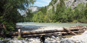 Beitragsbild des Blogbeitrags Gesäuse-Tipps mit Hund: Nothklamm, Weidendom und Forstmuseum. 