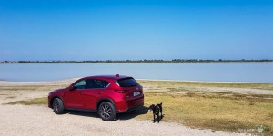 Beitragsbild des Blogbeitrags Hot, hot, hot: Roadtrip ins Burgenland | Mazda Routes 2018