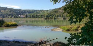 Beitragsbild des Blogbeitrags Heiße Donauinsel-Idylle mit Hund bei L.E. 