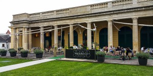 Beitragsbild des Blogbeitrags Herbstgold im Schloss Esterházy