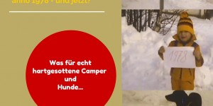 Beitragsbild des Blogbeitrags Wintercamping mit Hund – was für hartgesottene Camper.