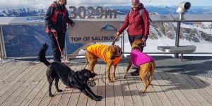 Beitragsbild des Blogbeitrags Kaprun mit Kitzsteinhorn und Hundekumpels 