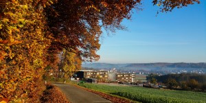 Beitragsbild des Blogbeitrags Wellness trotz Hund? Nicht ganz unmöglich mit „DaysorWeeks.at“