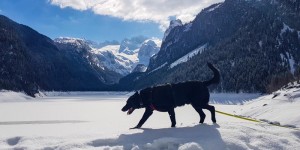 Beitragsbild des Blogbeitrags Winter schnuppern in Gosau und am Krippenstein 