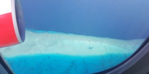 Beitragsbild des Blogbeitrags Spezies Flugbegleiter: So macht man ihnen das Leben schwer.