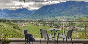 Beitragsbild des Blogbeitrags Schenna entdecken: Waalwege, Wasser & Wein in Südtirol 