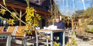 Beitragsbild des Blogbeitrags Naturidyll pur: Ein Weekend im Steinschalerhof im Pielachtal