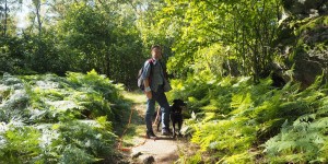 Beitragsbild des Blogbeitrags Ganz oben im Waldviertel: Meine 20 Ausflugsziele für den Herbst
