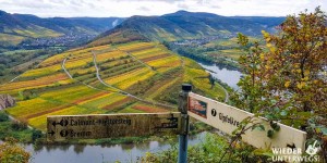 Beitragsbild des Blogbeitrags Der Bremmer Calmont: Gipfelkreuz und Klettersteig am steilsten Weinberg 