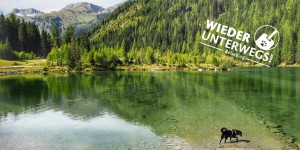 Beitragsbild des Blogbeitrags Link-Sammlung zum Hundeurlaub in Österreich 