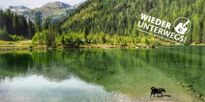 Beitragsbild des Blogbeitrags Link-Sammlung zum Hundeurlaub in Österreich
