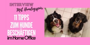Beitragsbild des Blogbeitrags 11 Tipps zum Hunde Beschäftigen daheim: Mit Hundegspür durch die Corona Krise