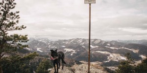 Beitragsbild des Blogbeitrags Naturpark Hohe Wand: Sonnen-Aufgangstour mit Hund 