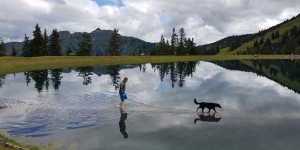 Beitragsbild des Blogbeitrags 15 Ideen für Urlaub in Österreich mit Hund 