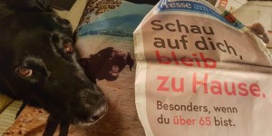 Beitragsbild des Blogbeitrags Corona: Was Hundebesitzer jetzt wissen sollten. Fragen und Antworten (UPDATE 16. April 2020)