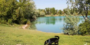 Beitragsbild des Blogbeitrags Zu Besuch am Badeteich Hirschstetten: Hundezone, wir kommen!