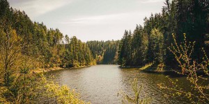 Beitragsbild des Blogbeitrags Erfrischende Wanderung am Ottensteiner Stausee: Mit vielen Badestopps 