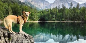 Beitragsbild des Blogbeitrags Der große und der kleine Ödsee – Badespaß im Almtal 