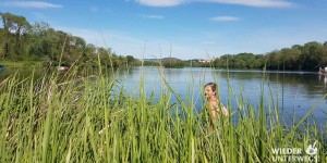 Beitragsbild des Blogbeitrags 50 Erfrischende Tipps: Sommerfrische in Niederösterreich