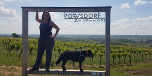 Beitragsbild des Blogbeitrags Wonne im Weinviertel: 17 Ausflugstipps für den Frühling