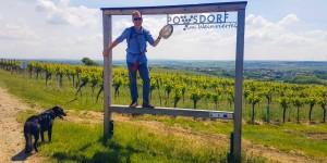 Beitragsbild des Blogbeitrags Weinwandern und Schmausen in Poysdorf
