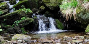 Beitragsbild des Blogbeitrags Am Wildwasserpfad Mariensee: Ein cooler Trip für heiße Tage