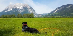 Beitragsbild des Blogbeitrags Rund um Grimming & Donnersbachtal: Unterwegs in Berg und Tal 