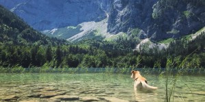 Beitragsbild des Blogbeitrags Einmal rund um die Langbathseen, bitte!