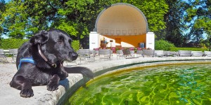 Beitragsbild des Blogbeitrags Auf Kur mit Hund: In Bad Hall geht das mit Stil. Mit Jugendstil.