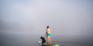 Beitragsbild des Blogbeitrags Am SUP mit Hund: Unser Stand Up Paddle Erfahrungsbericht 