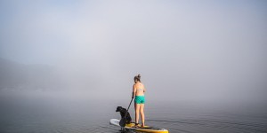 Beitragsbild des Blogbeitrags Am SUP mit Hund: Unser Stand Up Paddle Erfahrungsbericht
