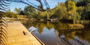 Beitragsbild des Blogbeitrags Ganz oben im Waldviertel: Meine 20 Ausflugsziele für den Herbst