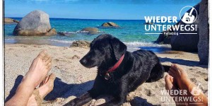 Beitragsbild des Blogbeitrags Die Packliste für den Urlaub mit Hund: Was man alles brauchen könnte… 