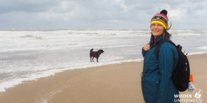 Beitragsbild des Blogbeitrags Herbst. Hund. Holland: Ich will wieder an die Nordsee!