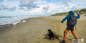 Beitragsbild des Blogbeitrags Texel mit Hund: Unser Inselurlaub an der Nordsee 