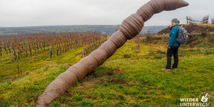 Beitragsbild des Blogbeitrags Lohnt sich der Weinweg Langenlois? Unser Winter-Bericht. 