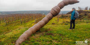 Beitragsbild des Blogbeitrags Lohnt sich der Weinweg Langenlois? Unser Winter-Bericht.