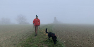 Beitragsbild des Blogbeitrags 20 Leichte Winterwanderungen in  Niederösterreich für zwischendurch 