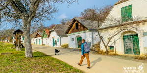 Beitragsbild des Blogbeitrags Mailberg Valley Weinwandern: Hundschupfen und Hochlüssen