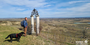 Beitragsbild des Blogbeitrags Wandern plus Weinpicknick: Tut Gut im Kremstal 