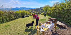 Beitragsbild des Blogbeitrags Die private Hundezone zum Mieten: Ein Paradies am Bisamberg. 