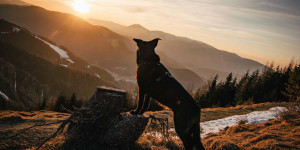 Beitragsbild des Blogbeitrags Wanderung mit Sonnenuntergang: Rund um den Hirschenkogel am Semmering 