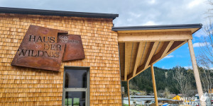 Beitragsbild des Blogbeitrags Die Wildnis vor der Haustür: Weltnaturerbe Dürrenstein bei Lunz am See